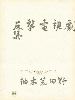 反击电视剧多少集