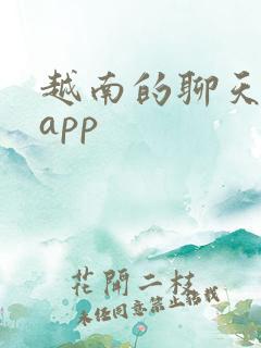 越南的聊天软件app