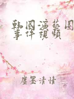 韩国演艺圈悲惨事件视频