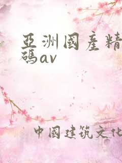 亚洲国产精品乱码av