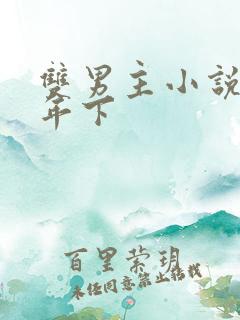 双男主小说推荐年下