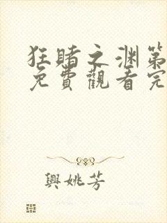 狂赌之渊第二季免费观看完整版