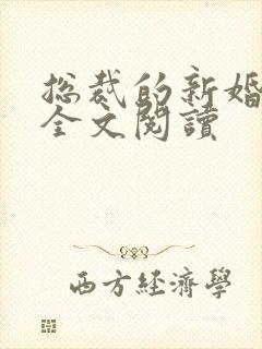 总裁的新婚罪妻全文阅读
