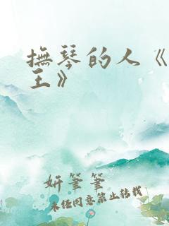 抚琴的人《少年王》