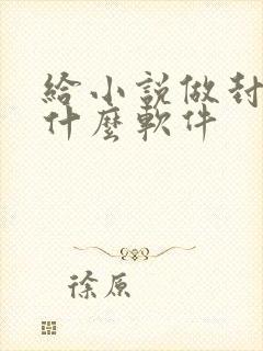给小说做封面用什么软件