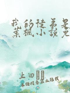 我的徒弟是女帝叶枫小说免费阅读