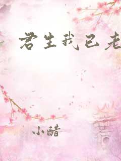 君生我已老全诗