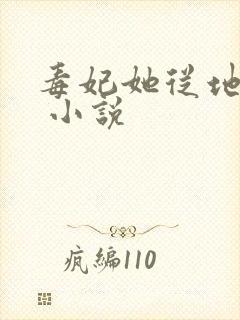 毒妃她从地狱来 小说 毒妃她从地狱来 小说
