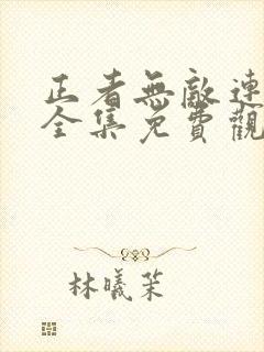 正者无敌连续剧全集免费观看
