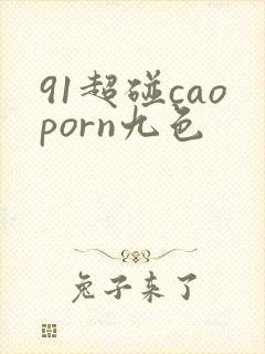 91超碰caoporn九色
