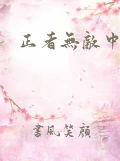 正者无敌中
