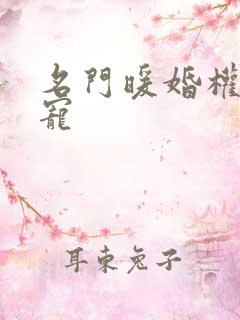 名门暖婚权爷盛宠