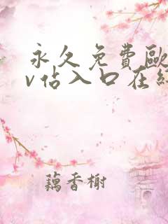 永久免费欧美mv站入口在线