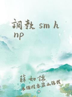 调教 sm h np