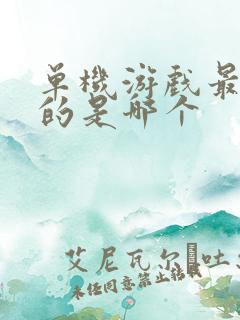 单机游戏最好玩的是哪个