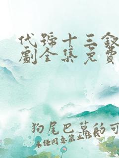 代号十三钗电视剧全集免费看