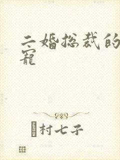 二婚总裁的心尖宠