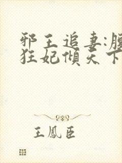 邪王追妻:腹黑狂妃倾天下
