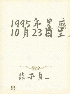 1995年农历10月23日生辰八字