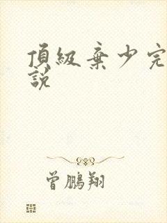 顶级弃少完整小说