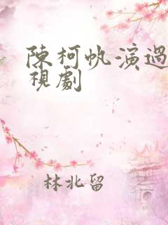 陈柯帆演过的电视剧