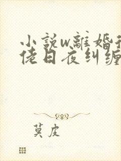 小说w离婚后大佬日夜纠缠,