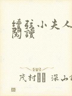 续弦小夫人在线阅读