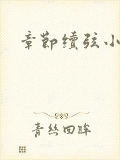 章节续弦小夫人