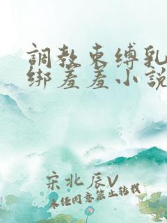 调教束缚乳夹捆绑羞羞小说