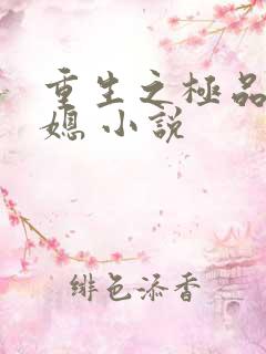 重生之极品农家媳 小说