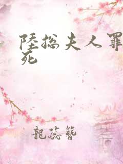 陆总夫人罪不至死