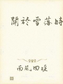 关于雪落时小说