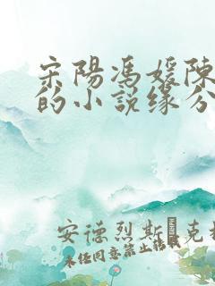 宋阳冯媛陈丽珍的小说缘分似梦