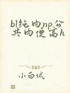 bl纯肉np公共肉便高h