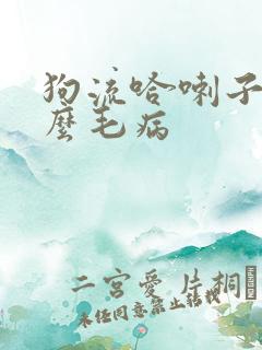 狗流哈喇子是什么毛病