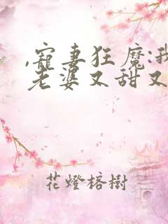 ,宠妻狂魔:我老婆又甜又狠