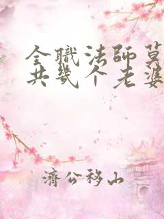 全职法师莫凡一共几个老婆