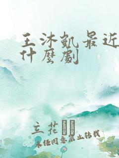 王沐凯最近演了什么剧