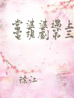 当婆婆遇上的妈电视剧第三十集免费