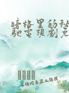暗格里的秘密策驰电视剧免费观看