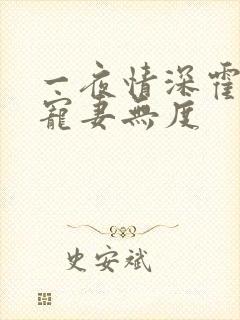 一夜情深霍先生宠妻无度