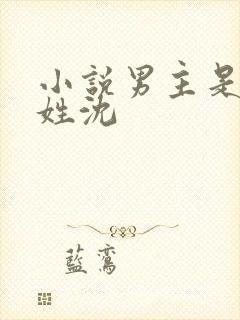 小说男主是律师姓沈