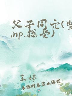 父子同穴(双性,np.总受)