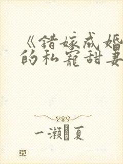 《错嫁成婚总裁的私宠甜妻》