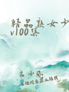 精品熟女少妇av100集