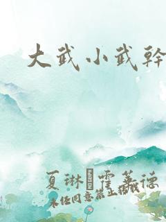 大武小武干黄蓉