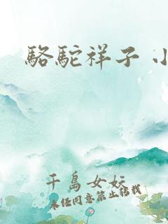 骆驼祥子 小说