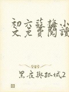 初六苏梅小说全文免费阅读 初六苏梅小说全文免费阅读