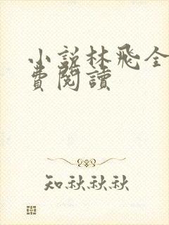 小说林飞全文免费阅读