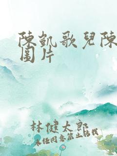 陈凯歌儿陈飞宇图片